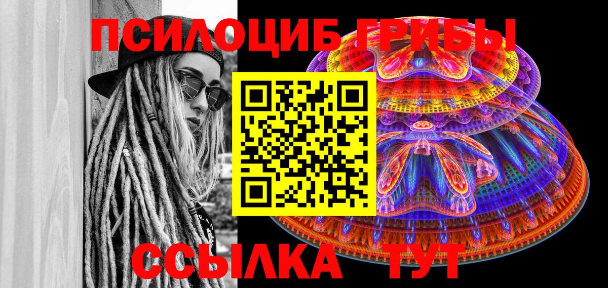 Тавда  Галлюциногенные грибы Magic Shrooms  Галлюциногенные грибы Magic Shrooms  Вход с VPN 